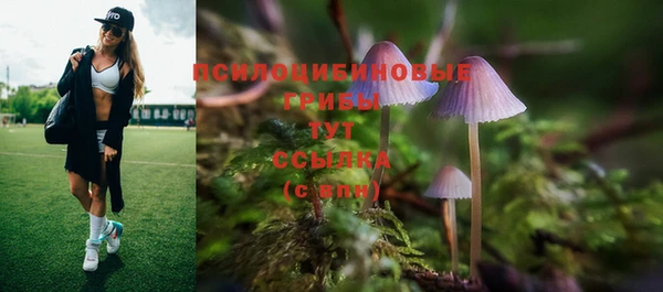 стафф Нягань