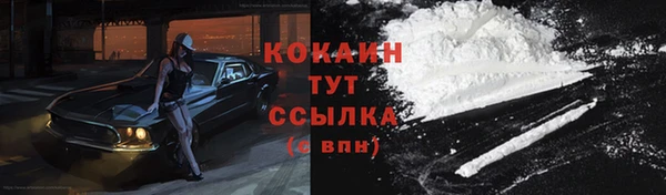 мдпв Няндома