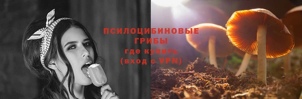 стафф Нягань