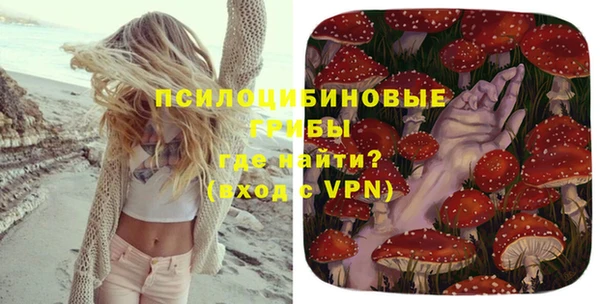 мдпв Няндома