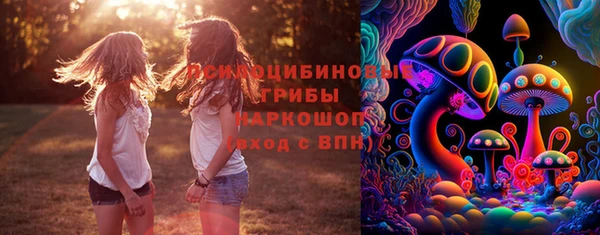 стафф Нягань