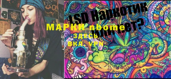 соль ск Новозыбков