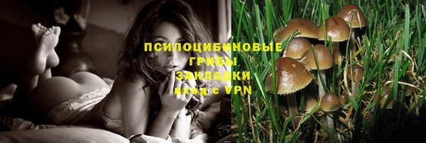 мдпв Няндома