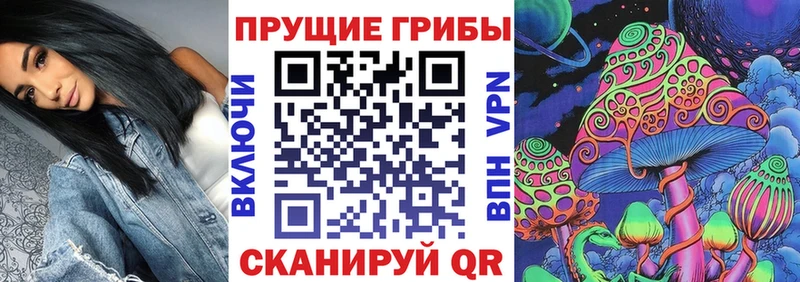Псилоцибиновые грибы Cubensis  хочу наркоту  кракен   Кирсанов 