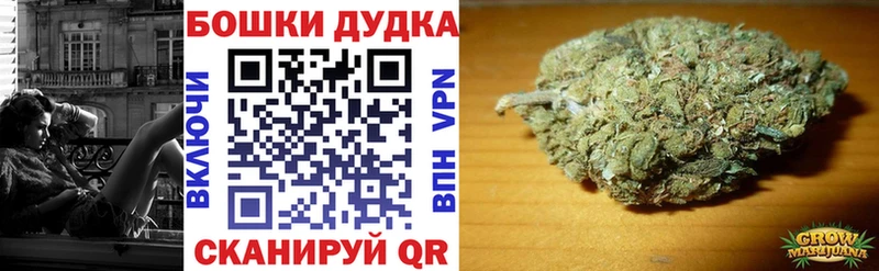 мориарти как зайти  Кирсанов  Бошки Шишки ГИДРОПОН 